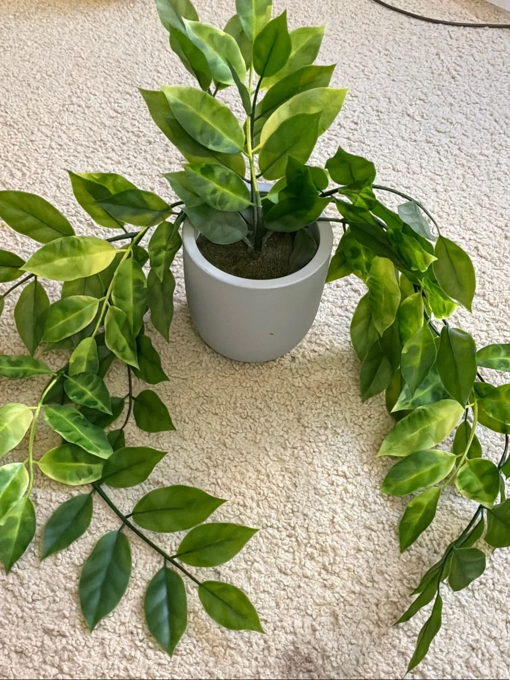 Green Artificial Hanging Pothos in White Planter by
